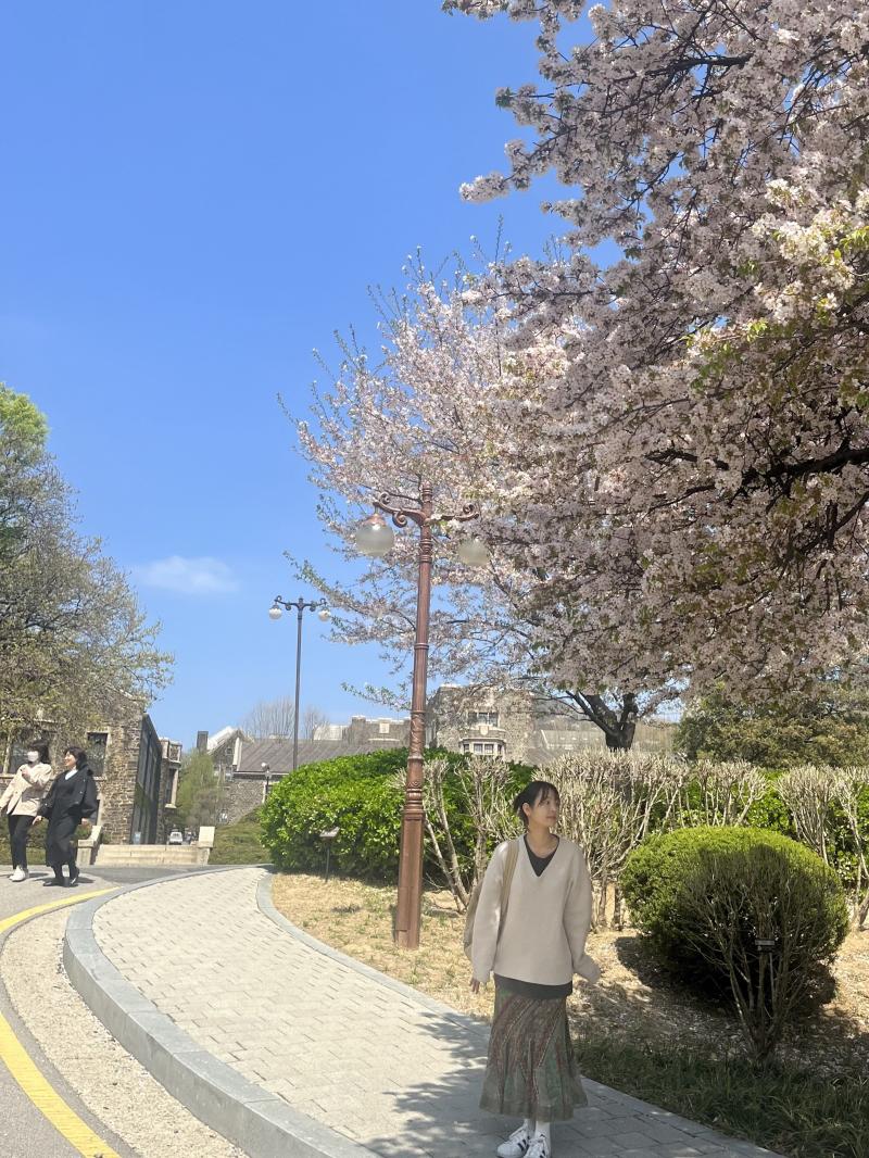 조은나래 아나운서