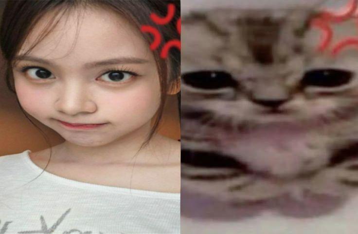 하츠투하츠 카르멘