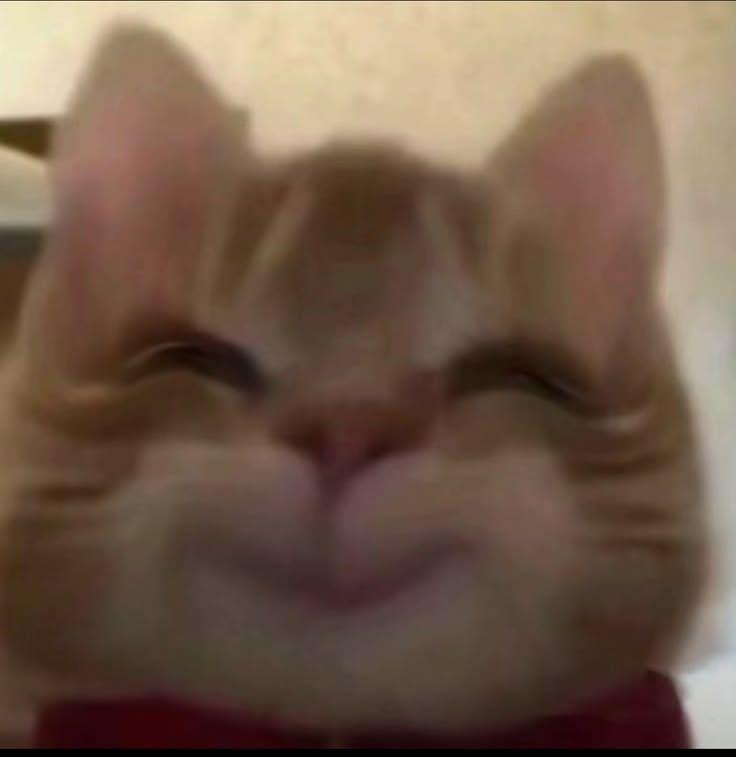 하츠투하츠 카르멘