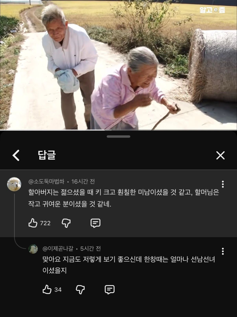 아 이렇게 곱게 같이 늙을 수 있으면 결혼도 나쁘지않을듯 할머니 얼굴에