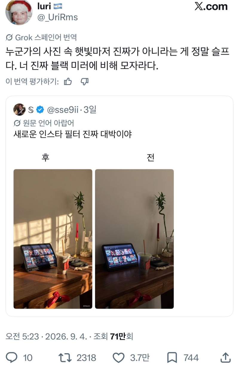 누군가의 사진 속 햇빛마저 진짜가 아니라는 게 슬프다