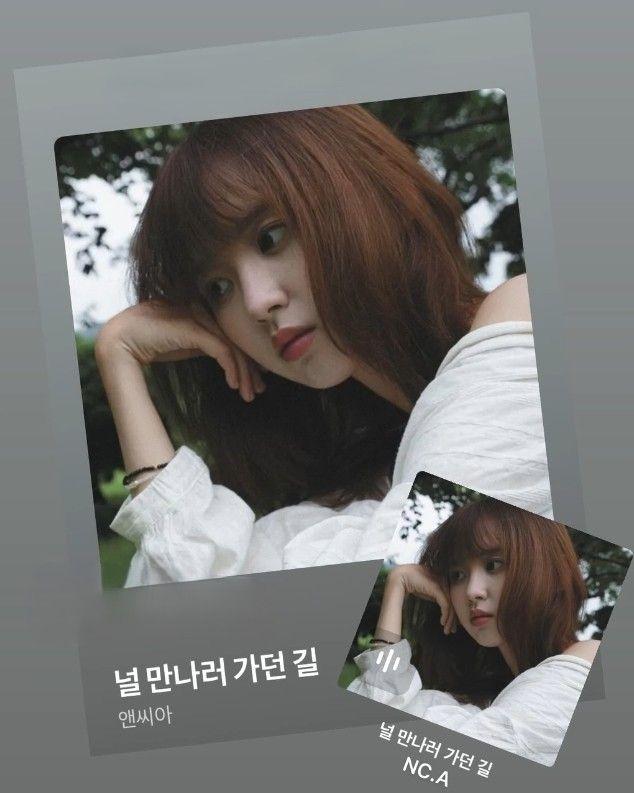 앤씨아 신곡 260729 널 만나러 가던 길