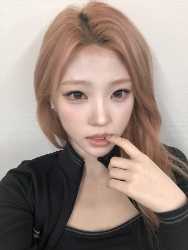 하츠투하츠 스텔라