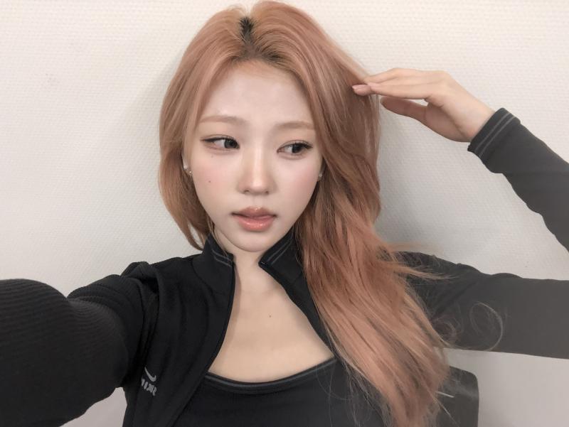 하츠투하츠 스텔라