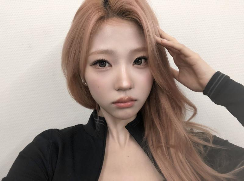 하츠투하츠 스텔라