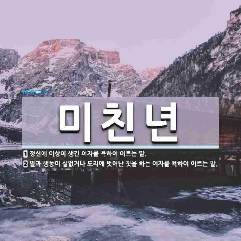 낸시랭, 음주운전 혐의 경찰 입건…면허 취소 수준