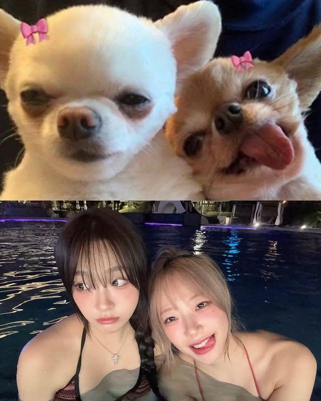 지지원, 클로이(전 시그니처)