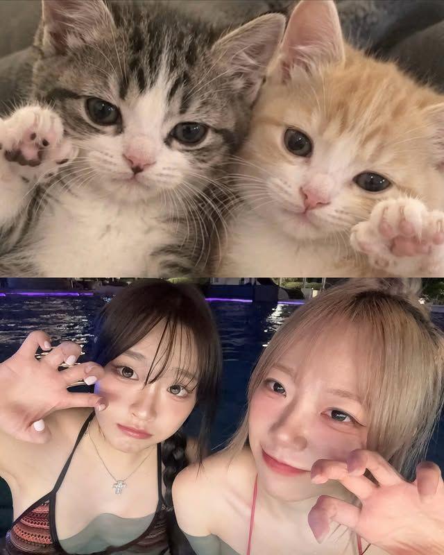 지지원, 클로이(전 시그니처)