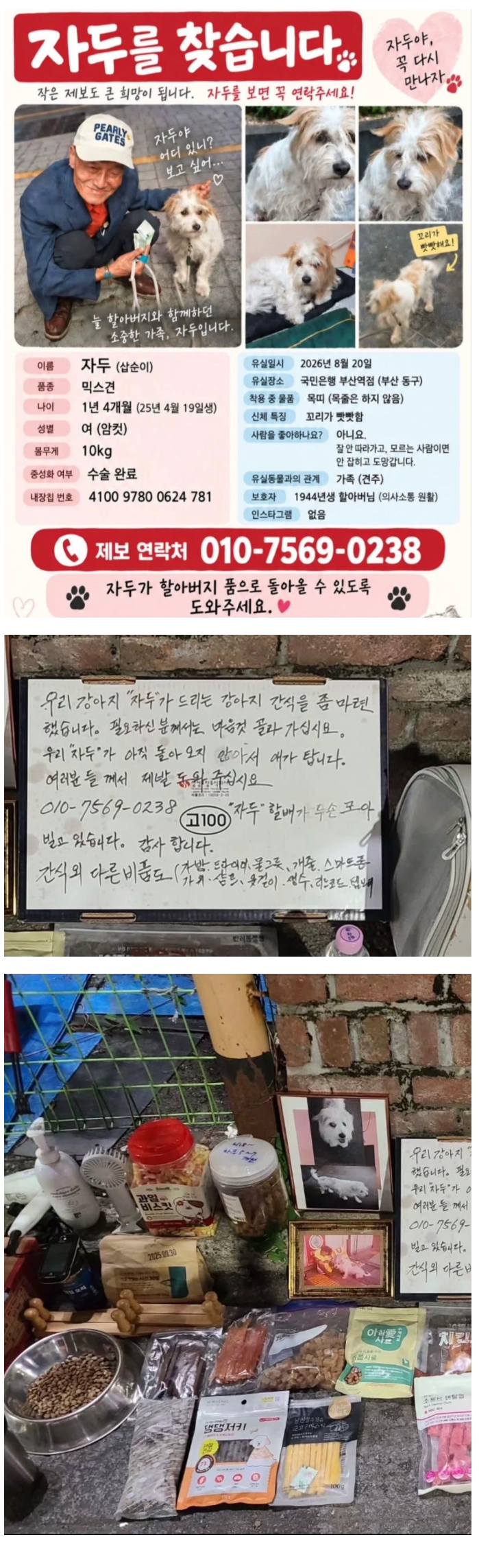 실종 강아지를 애타게 찾고 있는 할아버지.jpg