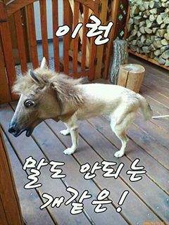 담배 냄새 싫으면 징징대지 말고 창문 닫아라.jpg