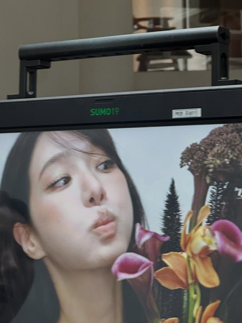 박규영 SNS