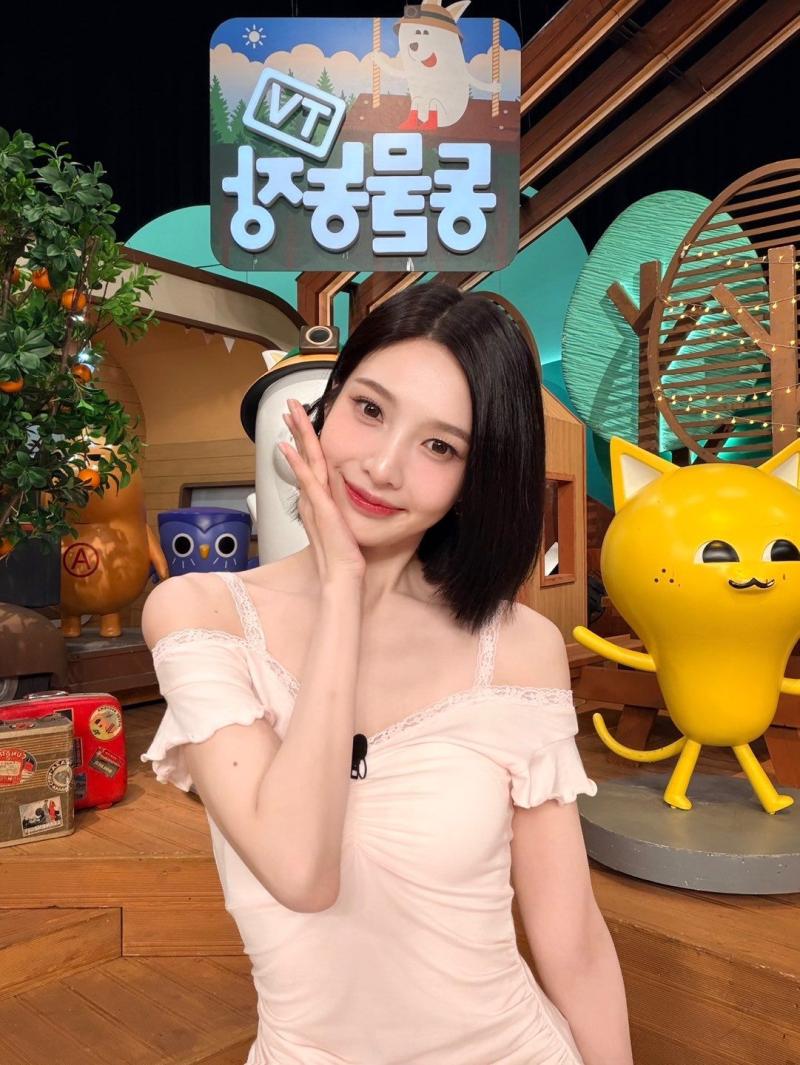 레드벨벳 조이