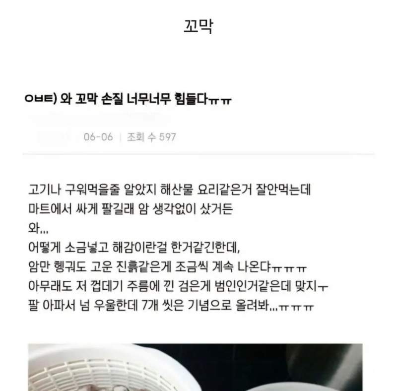 의도치 않은 해산물 손질의 달인.jpg