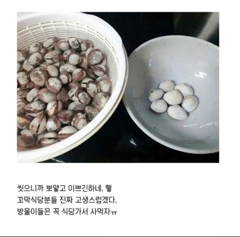 의도치 않은 해산물 손질의 달인.jpg
