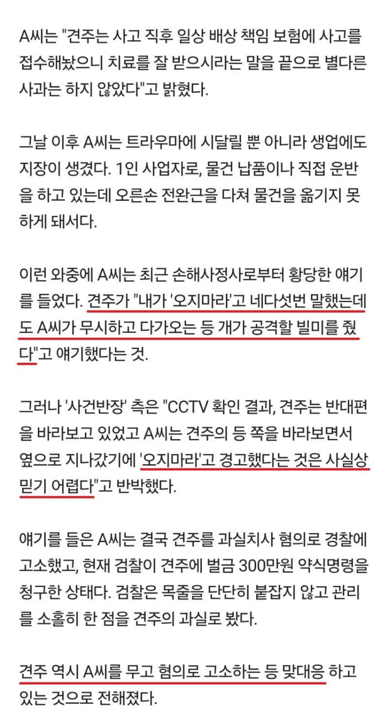 산책하다 \'피투성이\' 된 남성…맹견에 물렸는데, 견주 \