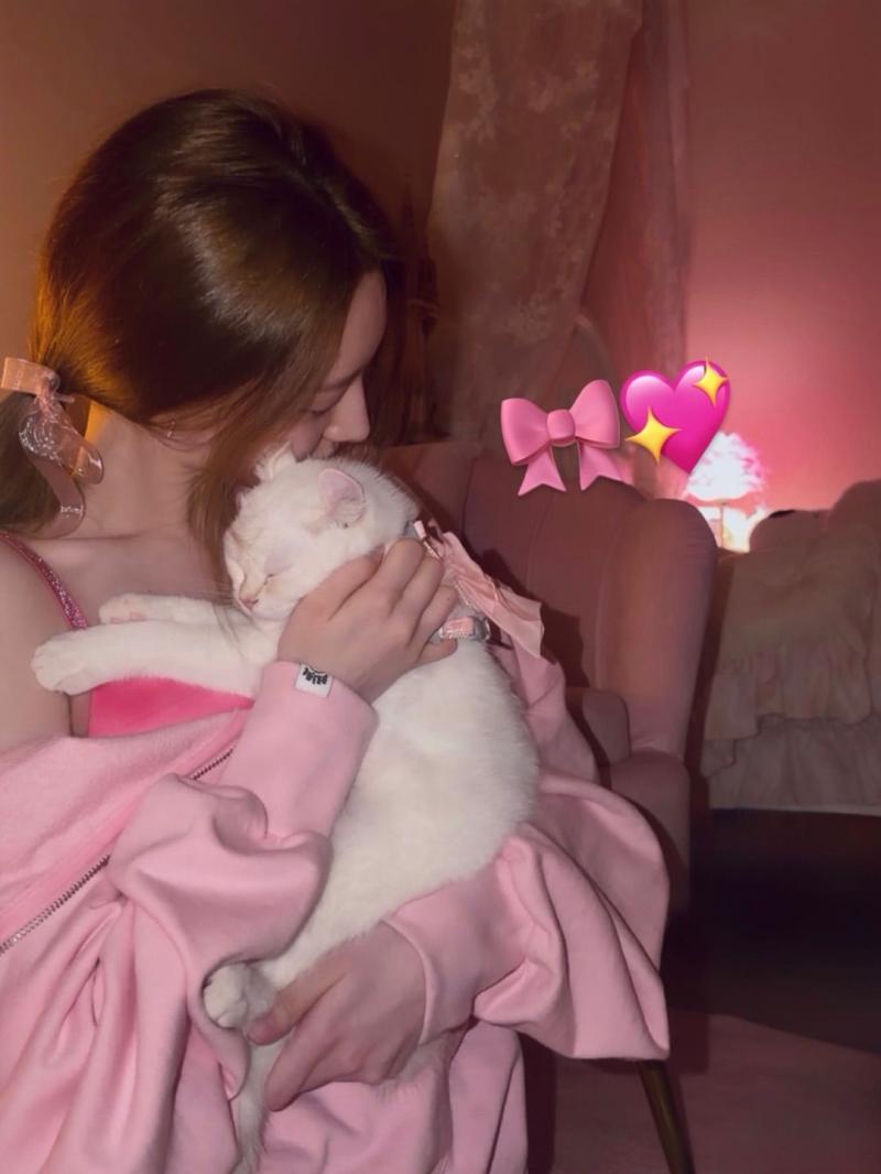 하이키 휘서