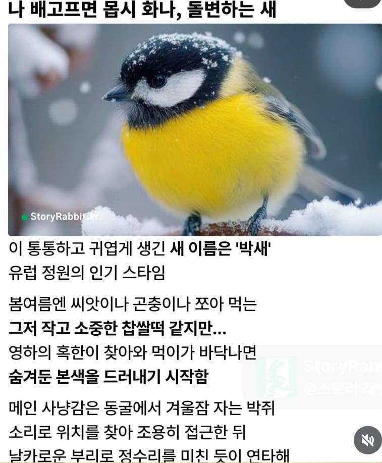 박새가 배고프면 ㅈ되는 거야