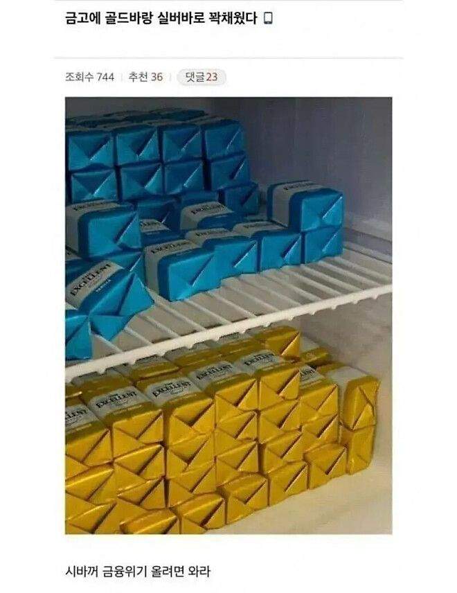 냉장고에 쟁여놓은 골드바