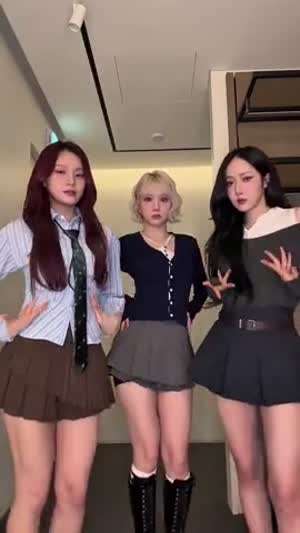 비비지
