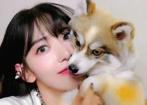 르세라핌 사쿠라