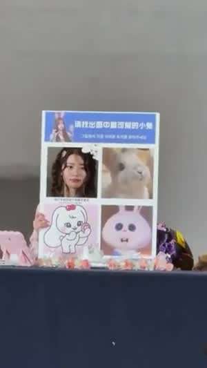 IVE (아이브) 장원영
