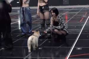 르세라핌 사쿠라