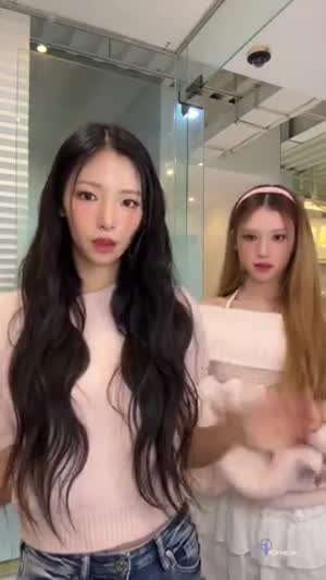 오드유스 마야, 카니