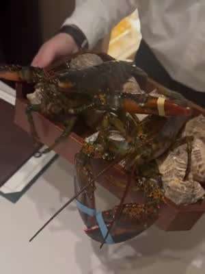 남규리 인별