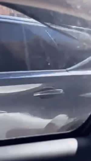 호주의 흔한 길거리 싸움.gif