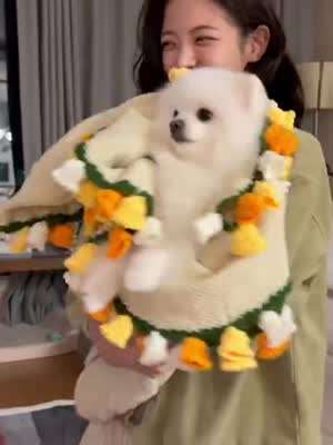 ITZY 리아