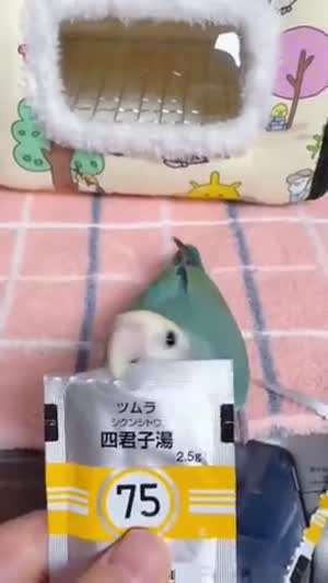 가위 대용