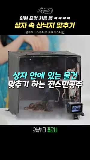 약간 요란한 프로미스나인 박지원의 상자 속 산낙지 맞추기