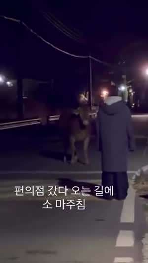 소자만추
