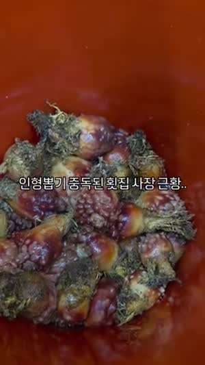 인형뽑기 중독된 횟집 사장님