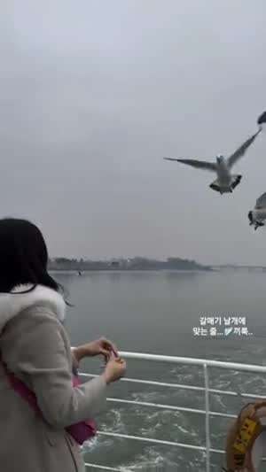 정유현 아나운서