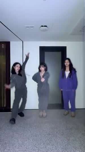 비비지