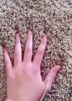 할일이 너무 없는 사람 6