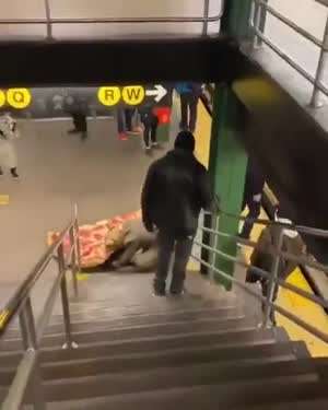뉴욕지하철에 나타난 거대 괴물쥐