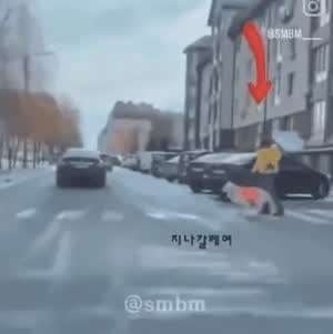 진짜 개빡친 시각 장애인 안내견.
