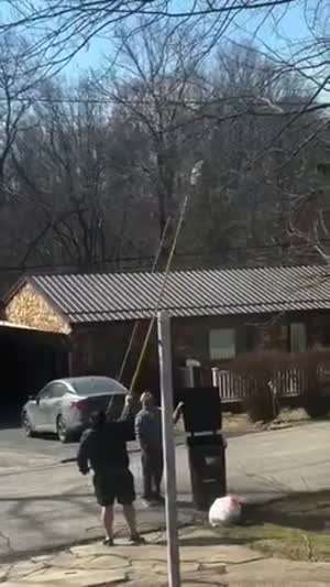 말벌 둥지를 처리하려는 남자들은 멘탈이 나가버렸습니다...