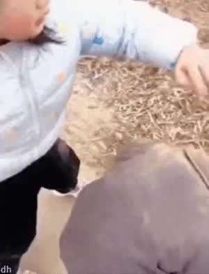 이리와봐 누나가 털어줄게