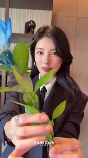 수지 론진