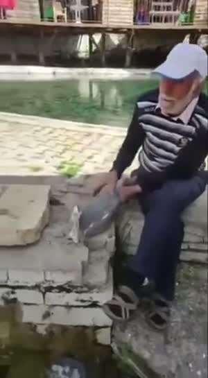 노인과 새
