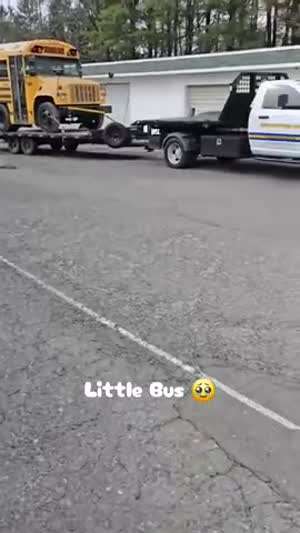 리틀 버스