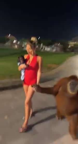 너는 좀 마자야쓰거따