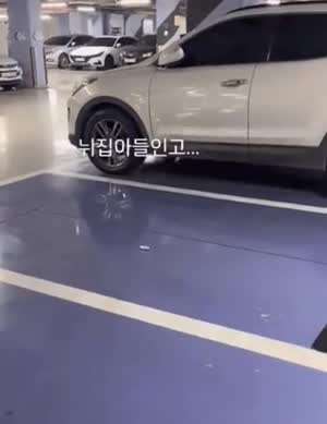 뉘집 아들인지 주차 잘 해놨네.