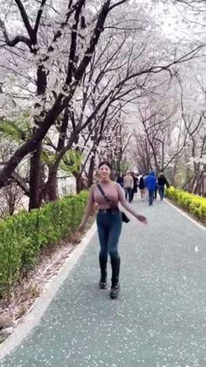 벚꽃을 보라고 딴거 보지 말고