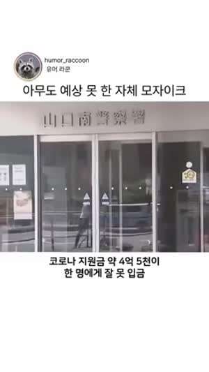 자체 모자이크