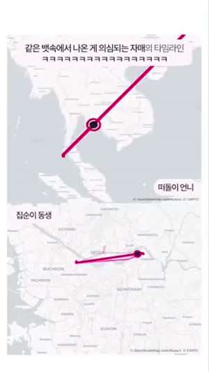 자매의 구글 타임라인