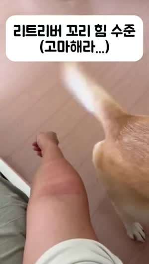 야이 개새끼야.. 아퍼 ㅜㅜ 그만때려
